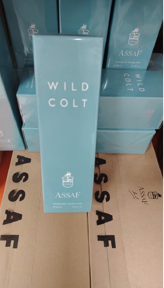 Wild Colt Assaf – وايلد كولت أستاف